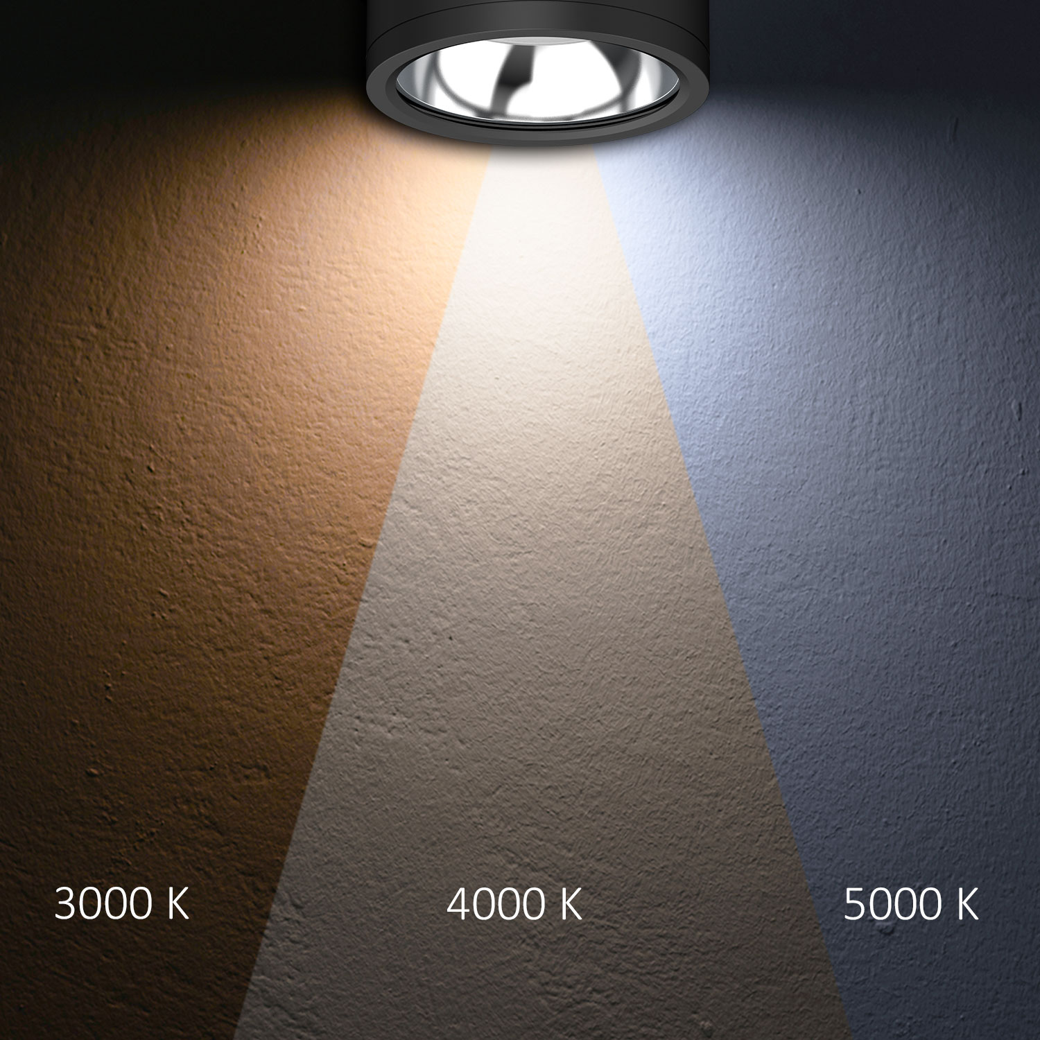 LED Deckenaufbaustrahler IP65, schwarz, 25W, ColorSwitch 3000|4000|5000K, dimmbar