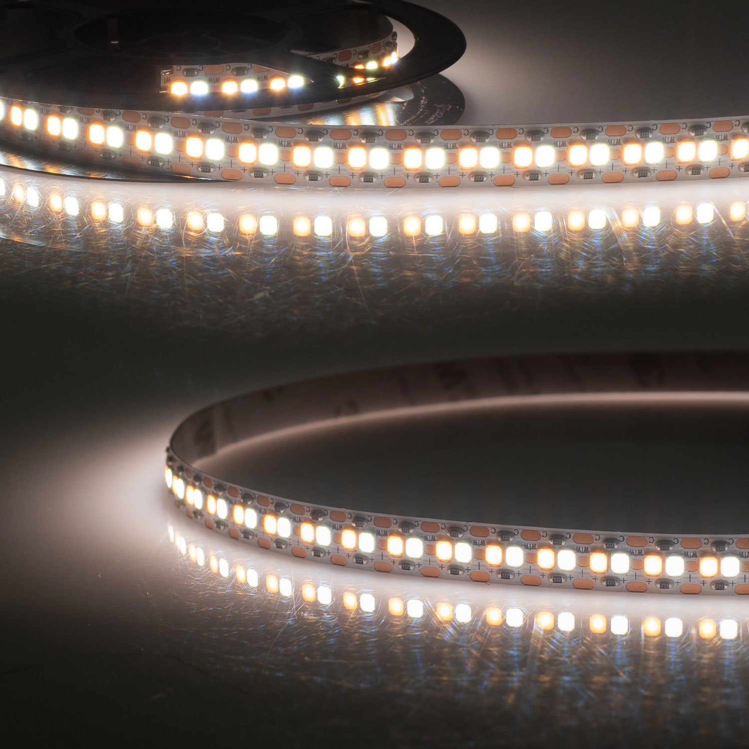 LED CRI923/960 Linear10 CCT Flexband, 24V DC, 10W+10W, IP20, 5m Rolle, 240 LED/m