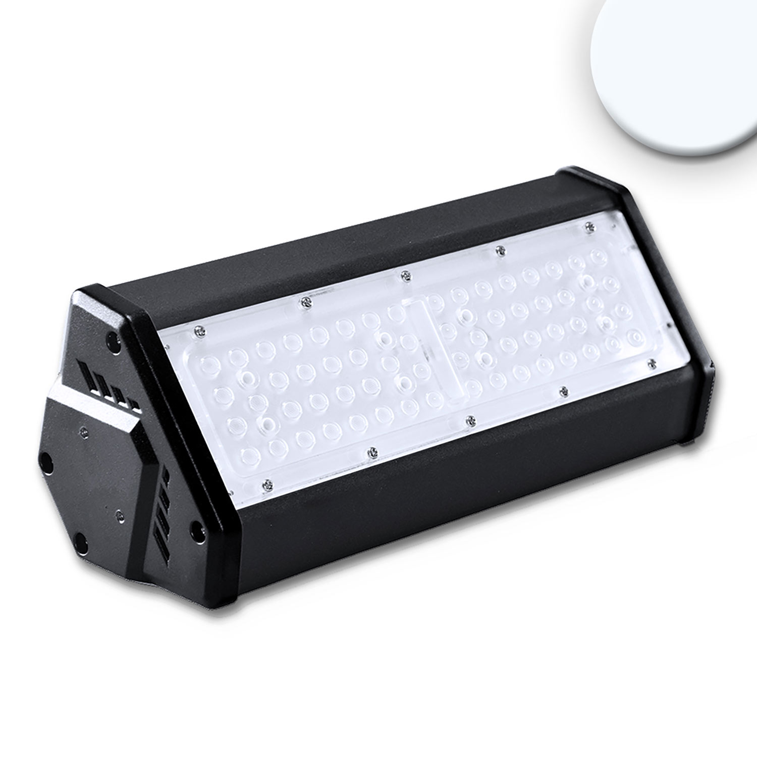 LED Hallenleuchte LN 50W, 30x70°, IK10, IP65, 1-10V dimmbar, kaltweiß